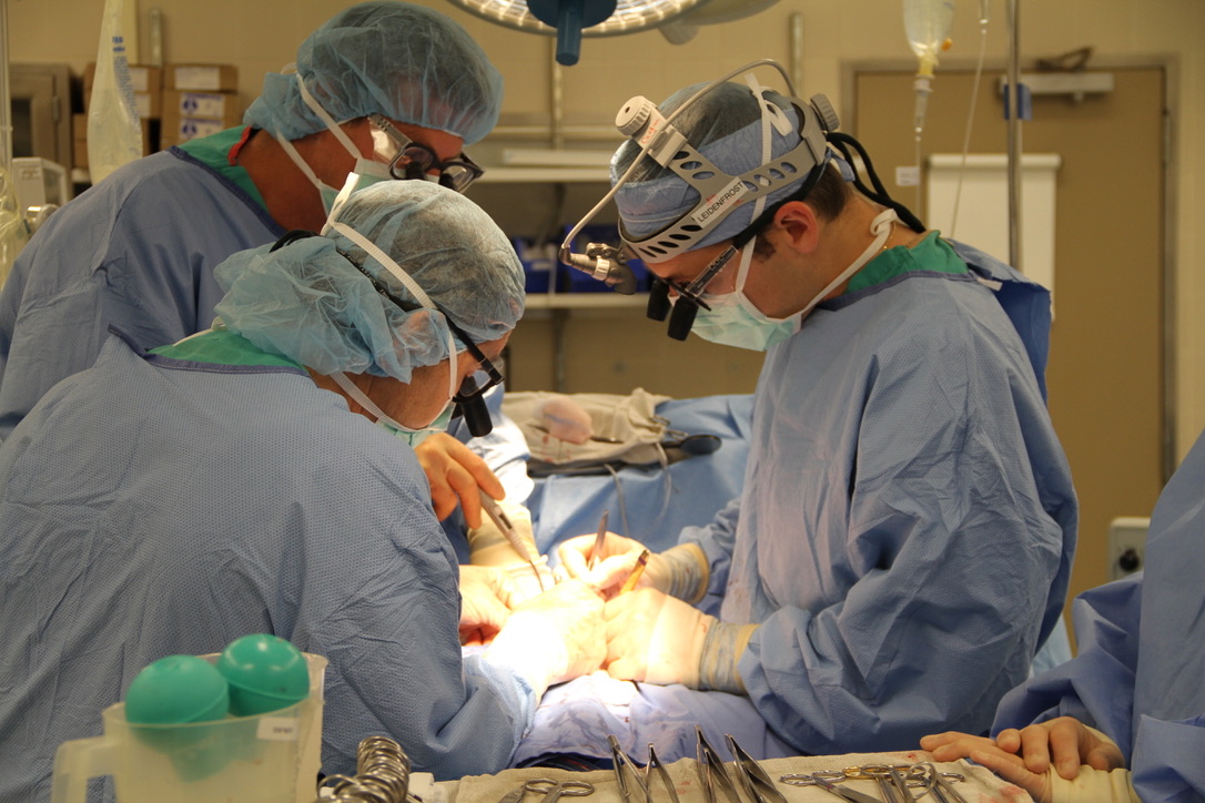 Dr. Leidenfrost and his surgical team at work
